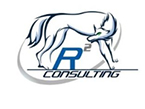 R2 Consulting, LLC